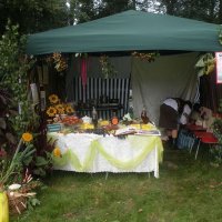 Zobacz w powiększeniu: Dożynki Powiatowe 2012 (8)