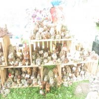 Zobacz w powiększeniu: Dożynki Powiatowe 2012 (13)