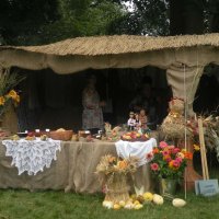 Zobacz w powiększeniu: Dożynki Powiatowe 2012 (15)