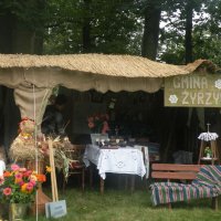 Zobacz w powiększeniu: Dożynki Powiatowe 2012 (16)