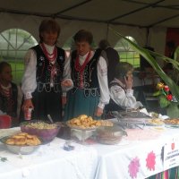 Zobacz w powiększeniu: Dożynki Powiatowe 2012 (37)