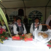 Zobacz w powiększeniu: Dożynki Powiatowe 2012 (50)