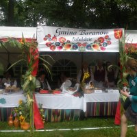 Zobacz w powiększeniu: Dożynki Powiatowe 2012 (53)
