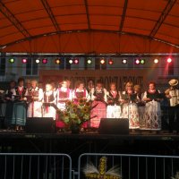 Zobacz w powiększeniu: Dożynki Powiatowe 2012 (62)