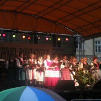 Zobacz w powiększeniu: Dożynki Powiatowe 2012 (67)