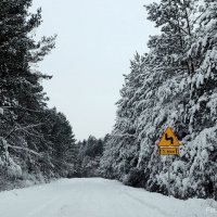 Zobacz w powiększeniu: Konkurs Cztery Pory Roku (9)