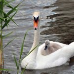 Obejrzyj galerię zdjęć: Konkurs Cztery Pory Roku