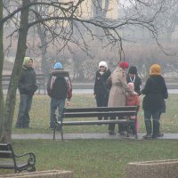 Zobacz w powiększeniu: WOŚP 2012 (7)