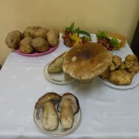 Zobacz w powiększeniu: Gminne Święto Jesieni 2013 (1)