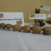 Zobacz w powiększeniu: Gminne Święto Jesieni 2013 (5)