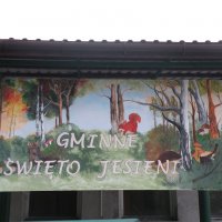 Zobacz w powiększeniu: Gminne Święto Jesieni 2013 (9)