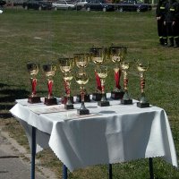 Zobacz w powiększeniu: Zawody sportowo-pożarnicze 2013 r. (15)