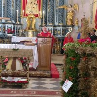 Zobacz w powiększeniu: Dożynki Gminne 2014 (13)