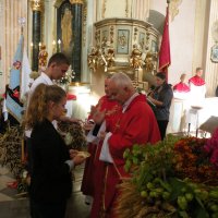 Zobacz w powiększeniu: Dożynki Gminne 2014 (25)