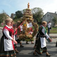 Zobacz w powiększeniu: Dożynki Gminne 2014 (57)