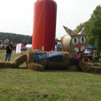 Zobacz w powiększeniu: Dożynki Gminne 2014 (62)
