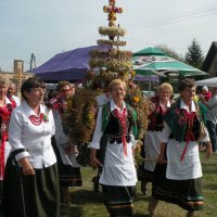 Zobacz w powiększeniu: Dożynki Gminne 2014 (64)