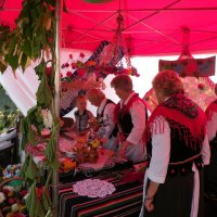 Zobacz w powiększeniu: Dożynki Gminne 2014 (71)
