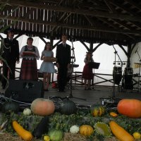 Zobacz w powiększeniu: Dożynki Gminne 2014 (72)