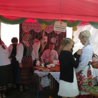 Zobacz w powiększeniu: Dożynki Gminne 2014 (73)