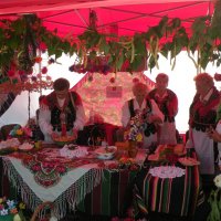 Zobacz w powiększeniu: Dożynki Gminne 2014 (74)