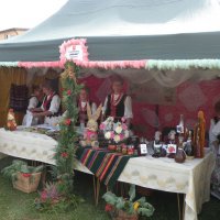 Zobacz w powiększeniu: Dożynki Gminne 2014 (75)