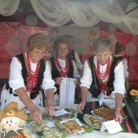 Zobacz w powiększeniu: Dożynki Gminne 2014 (1)