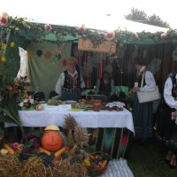 Zobacz w powiększeniu: Dożynki Gminne 2014 (2)