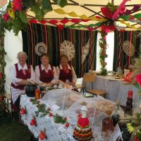 Zobacz w powiększeniu: Dożynki Gminne 2014 (3)