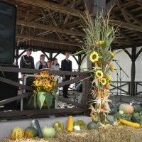 Zobacz w powiększeniu: Dożynki Gminne 2014 (9)