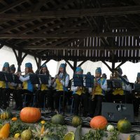 Zobacz w powiększeniu: Dożynki Gminne 2014 (23)