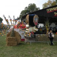 Zobacz w powiększeniu: Dożynki Gminne 2014 (25)