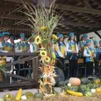 Zobacz w powiększeniu: Dożynki Gminne 2014 (27)