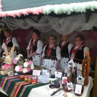 Zobacz w powiększeniu: Dożynki Gminne 2014 (30)