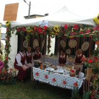 Zobacz w powiększeniu: Dożynki Gminne 2014 (31)