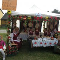 Zobacz w powiększeniu: Dożynki Gminne 2014 (32)