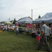 Zobacz w powiększeniu: Dożynki Gminne 2014 (33)