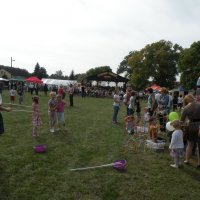 Zobacz w powiększeniu: Dożynki Gminne 2014 (37)