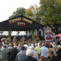 Zobacz w powiększeniu: Dożynki Gminne 2014 (42)