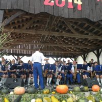 Zobacz w powiększeniu: Dożynki Gminne 2014 (44)