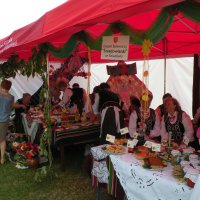 Zobacz w powiększeniu: Dożynki Gminne 2014 (45)
