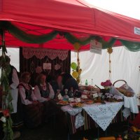 Zobacz w powiększeniu: Dożynki Gminne 2014 (46)