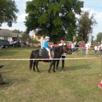 Zobacz w powiększeniu: Dożynki Gminne 2014 (59)