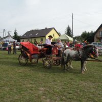 Zobacz w powiększeniu: Dożynki Gminne 2014 (63)