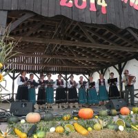 Zobacz w powiększeniu: Dożynki Gminne 2014 (68)