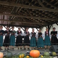 Zobacz w powiększeniu: Dożynki Gminne 2014 (69)