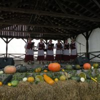 Zobacz w powiększeniu: Dożynki Gminne 2014 (72)