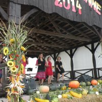 Zobacz w powiększeniu: Dożynki Gminne 2014 (2)