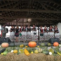 Zobacz w powiększeniu: Dożynki Gminne 2014 (3)