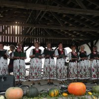 Zobacz w powiększeniu: Dożynki Gminne 2014 (4)